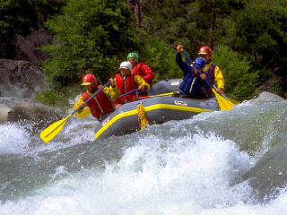 1 Day Rafting in the Altai